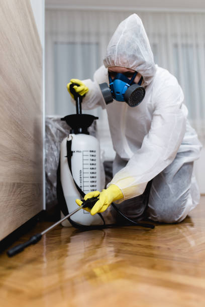 Best Emergency Pest Control  in Fairwood, WA